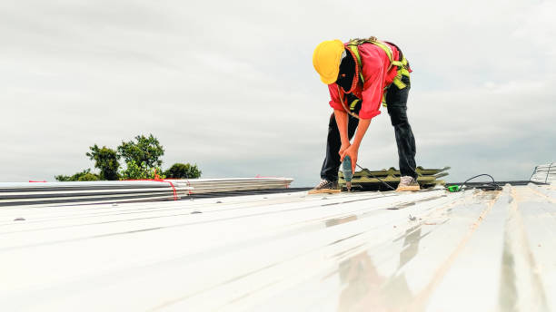 Gutter Replacement in South Bloomfield, OH